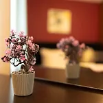 Aleko Center Apartman Veliko Tarnovo