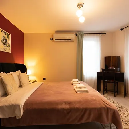 Aleko Center Appartement
