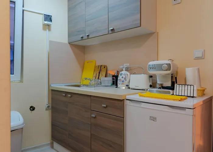 Aleko Center Apartment *