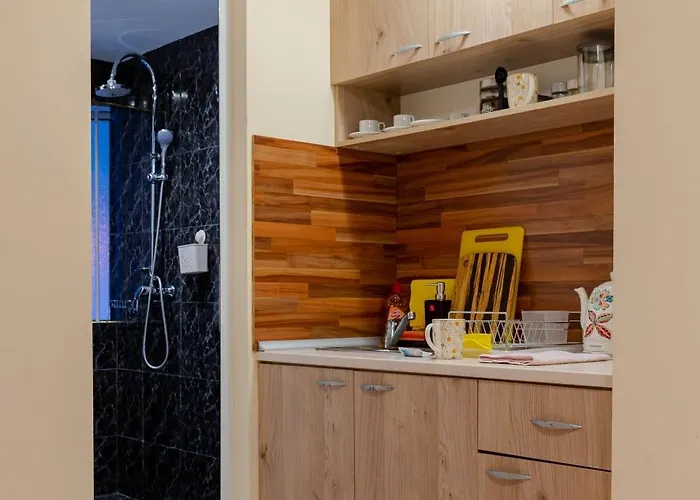 Aleko Center Apartment *