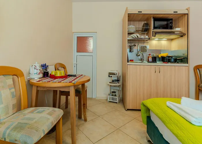 Apartment Aleko Center *