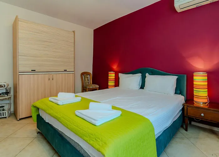 Apartment Aleko Center