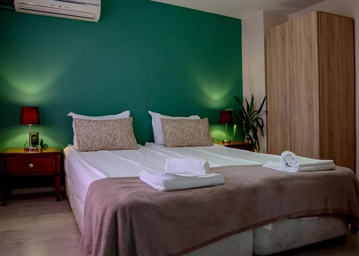 Aleko Center Apartment *