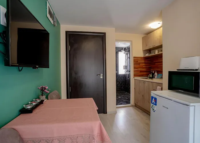 Apartment Aleko Center