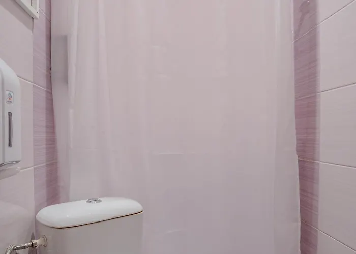 Apartment Aleko Center *