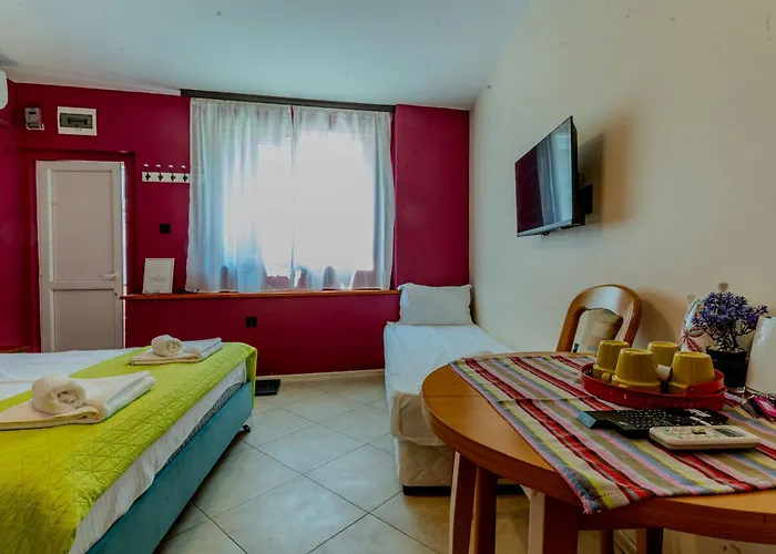 Apartment Aleko Center *